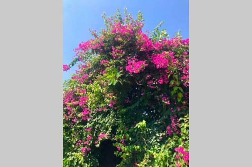 New Ranch Club Bungalow, 3 Min Del Mar