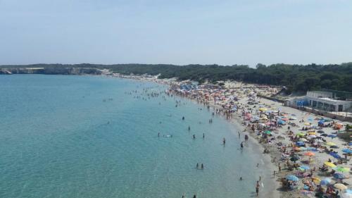 A Casa Di Leo ? Leo?s House ? Chez L�o