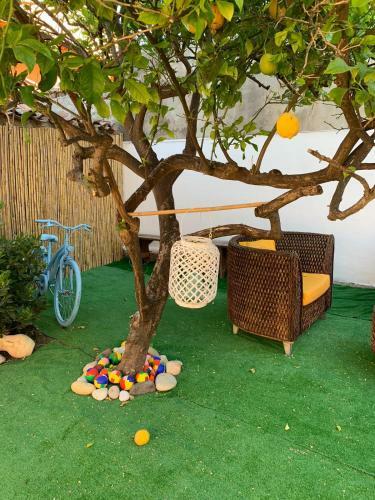 Bed & Breakfast Bnb Le Janas