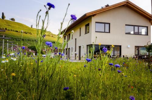 Bed & Breakfast R�sslhof