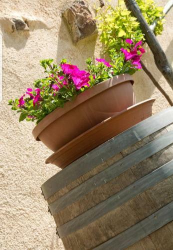 Hostal Ansitz Strengherrnhof
