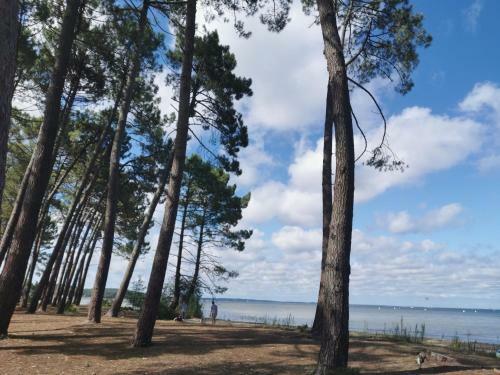 Apartamento Appartements Au Coeur Du Golf