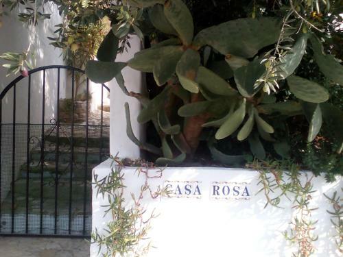 Bed & Breakfast Casa Rosa