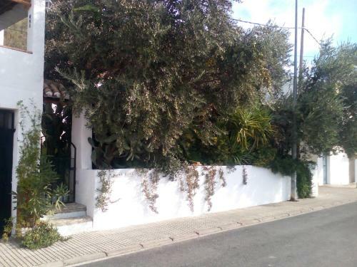 Bed & Breakfast Casa Rosa