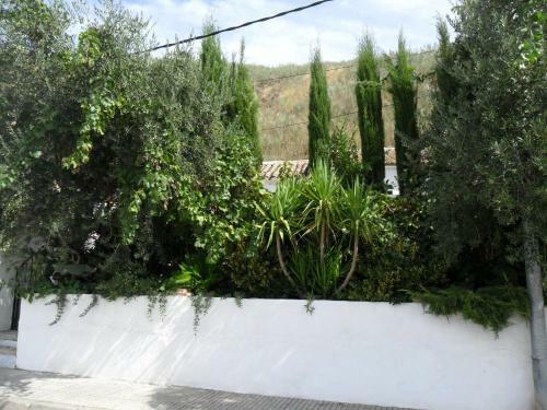 Bed & Breakfast Casa Rosa