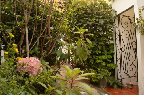 Hostal Sue Candelaria