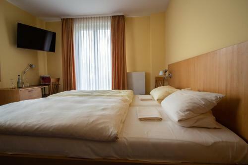 Hostal Gasthaus Goldene Gans