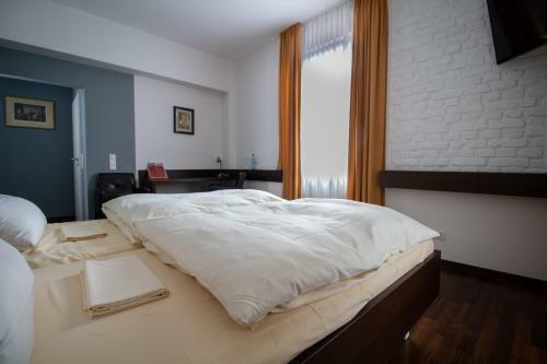 Hostal Gasthaus Goldene Gans