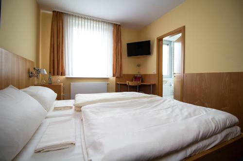 Hostal Gasthaus Goldene Gans