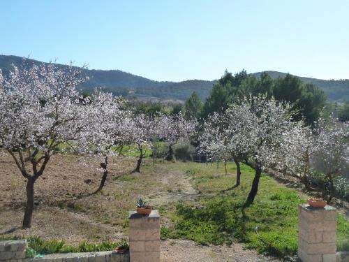 Aparthotel Can Estades