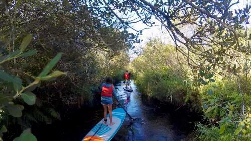 Hoya Surf Camp - Activit�s + Logements
