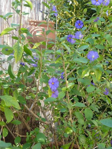 Maison � La Campagne