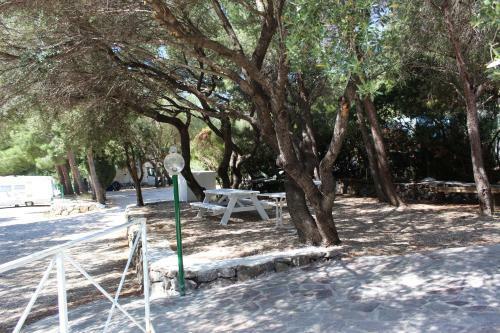 Camping Car Palmasera