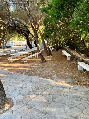 Camping Car Palmasera