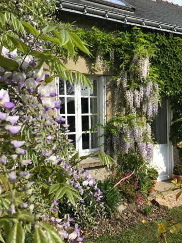 Walnut Tree Gite Brittany