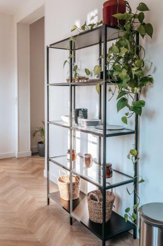 Apartamento L'appartement Luciole � Blonville