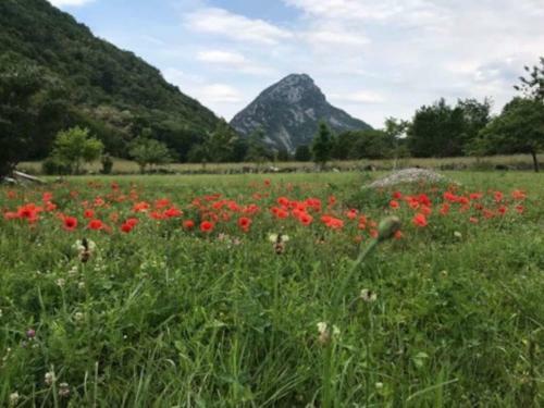 Villa Vacances Neuve