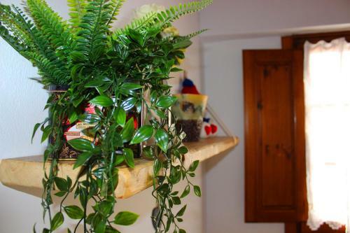Apartamento Mina House