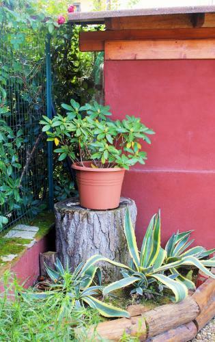 Apartamento Mina House