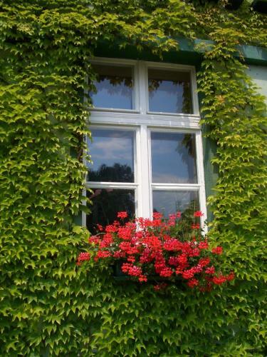 Hotel Zur Alten Oder