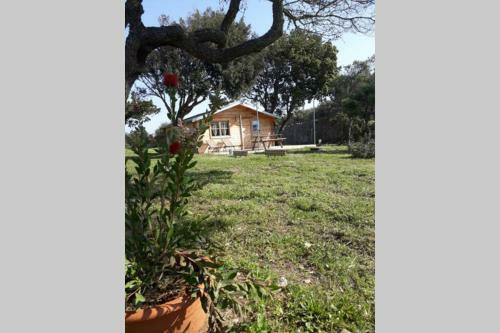 Chalet Climatis� Santa Maria � Bonifacio