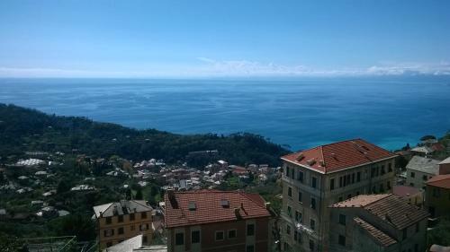 Host Alla Millenaria