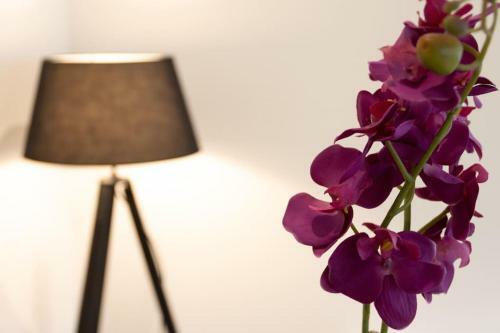 Apartamento La Cambuse Topdestination-bourg (Centre Ville)