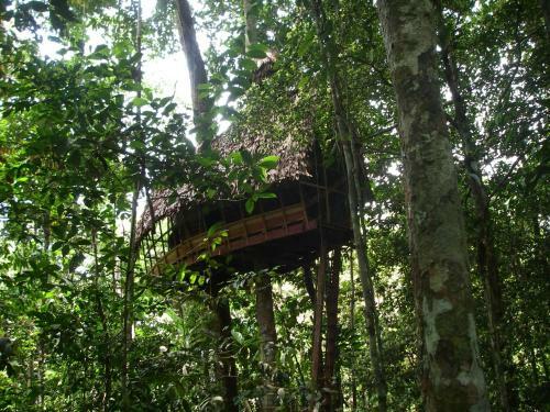 Hostal Reserva Natural Tanimboca