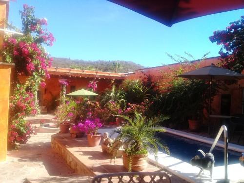 Bed & Breakfast Casa Las 7 Columnas