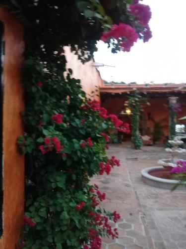 Bed & Breakfast Casa Las 7 Columnas