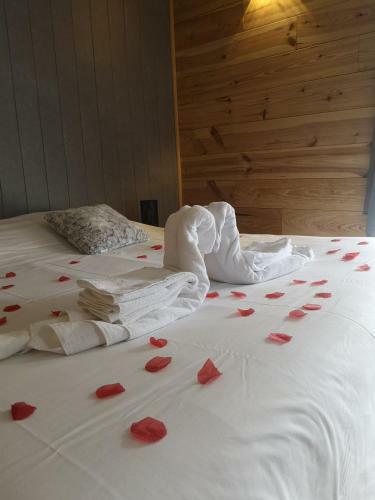 Hostal L'impr�vu