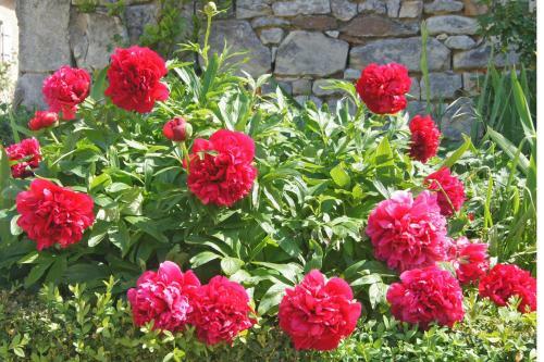 Bed & Breakfast Le Verger Des Hirondelles Chambres H�tes