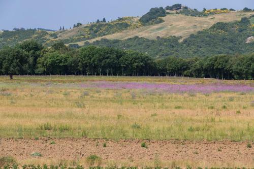Agroturismo Agriturismo Il Paradiso Di Berignone