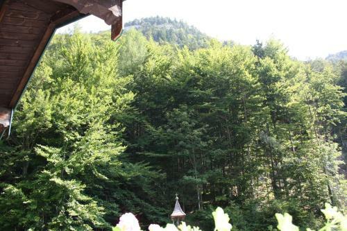 Hostal Pension St�llinger