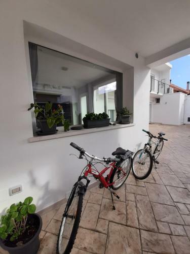 Bed & Breakfast Il Colle Del Barone