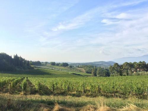 Tuscan Villa With Views And Pool. Hosts Up To 15
