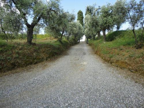 Tuscan Villa With Views And Pool. Hosts Up To 15