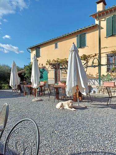 Apartamento Alloro Case Vacanze 3
