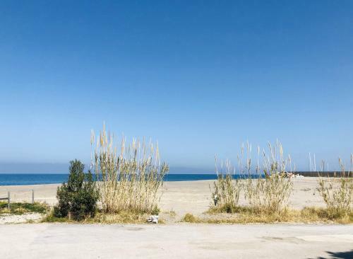 Villa Luigina - Seafront Villa In Capo D'orlando