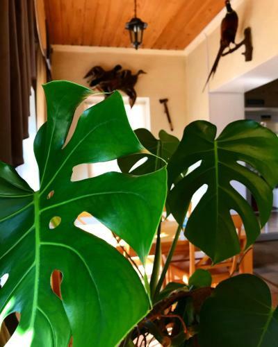 Posada Hotel Comfort