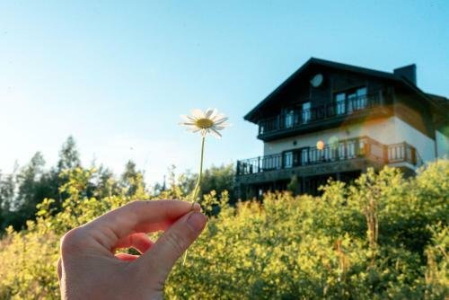 Hotel Residence Nesh