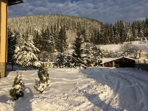 Hostal Zatin