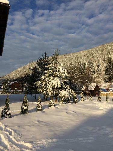 Hostal Zatin