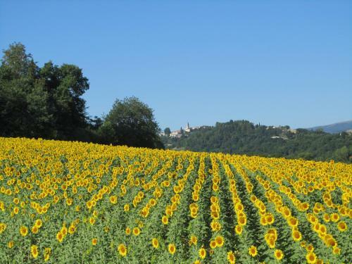 Apartamento Casale Del Monte