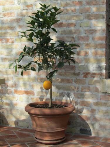Apartamento Casale Del Monte