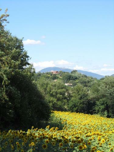Apartamento Casale Del Monte