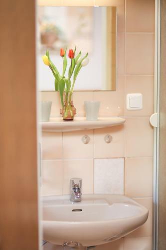 Hostal Pension Bergsee