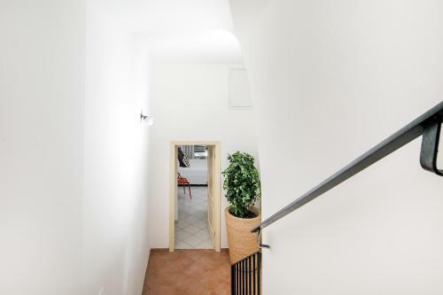 Bed & Breakfast Capri Casa Carlotta