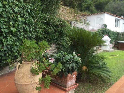 Capri Paradise Villa