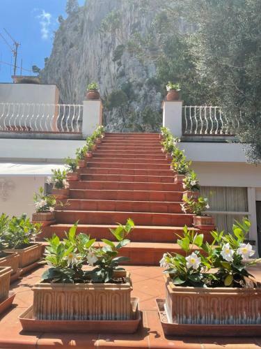 Capri Paradise Villa